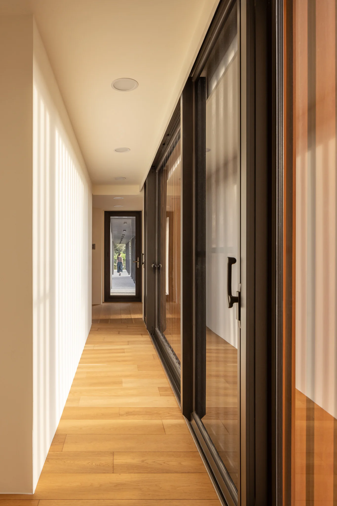 Corridor 木質廊道